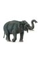Elefant asiatic