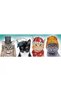 Puzzle 500 Panorama O Echipa Fluffy - 2