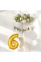 Moldy Green Chrome Gold Sand Beige and Number Birthday Set with Balloons