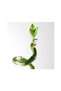 Lucky bambooنبات الخيزران الطبيعي  45 سم - 2