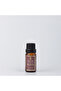 Bay Leaf Oil- Bay Leaf Essential Oil 10 ML Revitalizing & Purifying-Revitalizing & Purifying