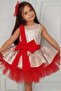 Girl's Silver Evening Dress with Bow Detail on the Front and Back, Sequin Embroidered Top and Tulle Hem