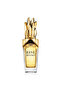 Beyonce Rise For Women Eau De Parfum 30ml - 2
