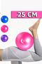 Mini Pilates Ball 25 cm Plates Balance Ball and Inflation Stick Pink - 7