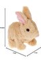 Cookie Jumping Rabbit, Pugs At Play, St Pap11, Hopping Club - 2