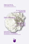 Alight Enzyme Peeling Powder - Brightening and Purifying Powder Peeling 75 Gr - 4