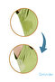 Sweat Absorbing Underarm Pads |   Invisible and Comfortable Leaf Pad (60 Pieces Monthly Package) - 3
