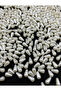 6*10 Drop Pearl 25 Gr (137 Pieces)