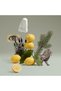 Blenheim Bouquet عطر من Penhaligon'S EDT 100 مل - 5