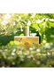 Eau De Memo عطر من Memo EDP سعة 100 مل - 5