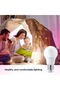 مصباح LED E27 20 واط 6000 كلفن، أبيض - 4