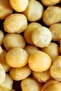 Makademya Fındık 400Gr