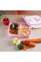 RF4398 Air Tight Lunch Box - 5