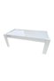 Illuminated Table (60*120 cm) - 2