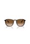 RAY BAN Unisex SQUARE Sun- RB 2203 - lense size:55mm - HAVANA - 5