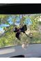 Silver Transparent Rearview Ornament N Letter - 2