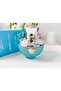 Dylan Turquoise Edt 100Ml - عطر ديلان توركواز EDT 100ملليلتر - 6