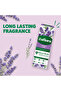 3 in 1 Multipurpose Concentrated Disinfectant- Lavender -250 ml - 3