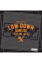 متوافق مع ملصق النافذة الخلفية Low Down Hard 206