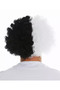 Black White Curly Afro Bonus Wig Fan Bonus Hair (4940) - 2