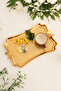 Fiano Butterfly Honeycomb Model Butterfly Detailed Presentation Tray 1 Piece - 4