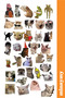 4Pcs Funny Cat, Cats, Sticker, Sticker, Agenda, Diary, Planner, Bullet Journal, Scrapbook - 3