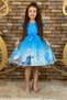 Blue Elsa Dress Birthday Party Dress Aby4481 - 5