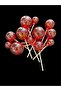 Red Transparent Ball - 2
