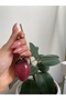 Bag Charm & Accessory Strawberry - 3