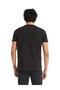 Licensed Black Big Logo T-Shirt Lion with Wooden Box - 3