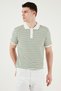 Cotton Regular Fit Striped Polo Neck t Shirt Men's Polo Neck t Shirt 5903009 - 2