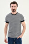 Striped Slim Fit Crew Neck Men's T-Shirt Navy Blue - 36848.25Y