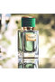 عطر فيلفيت سايبرس من دولتشي آند غابانا، أو دو برفيوم، 50 مل - 3