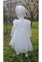Girl Child Baby Girl Birthday Special Day Eid Winged Dress