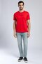 Patrico Men's 100% Cotton O-Neck T-Shirt Red