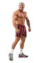 شورت تدريب اللياقة البدنية BGSM 1513 - 3