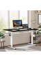 FlexiSpot Electric Standing Desk 121x60 cm with Height-Adjustable Spacious Desk - Charcoal Black - 2