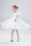 Balloon Sleeve Organza Design Evening Dress with Crystal Tulle Organza Girls' Dress Children's Evening Dress - 5