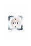 Karre WHITE 2 قطعة مقبس أرضي + 1 قطعة إطار مزدوج - 4