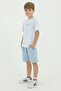 Crew Neck Boy's Print Detailed T-Shirt and Shorts Double Set - 4