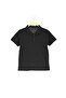 Men's Lacoste Cotton Seasonal Color Various Collared Short Sleeve T-shirt