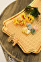 Fiano Butterfly Honeycomb Model Butterfly Detailed Presentation Tray 1 Piece - 6