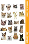 4Pcs Funny Cat, Cats, Sticker, Sticker, Agenda, Diary, Planner, Bullet Journal, Scrapbook - 4