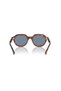 Rb 4399 954/62 53 Gina Sunglasses - 3