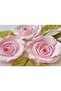 19cm Plate Rose Flower Relief Silicone Mold K-690, Scented Stone Soap Gypsum Candle Mold - 4