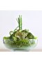 Tokyo Bowl Set 6 Pieces Large Medium Small - 3