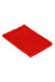 RF4855 SP Rosele Wilkins Scouring Pad - 3