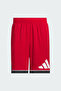Men's Basketball Shorts Bos Short Jn4731 - 3