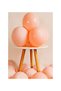 10 Macaron Colored Balloon Set – Elegance in Pastel Tones! ✨ - 5