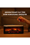 Fireplace Air Humidifier - 2